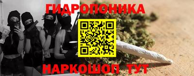 хмурый Малоярославец