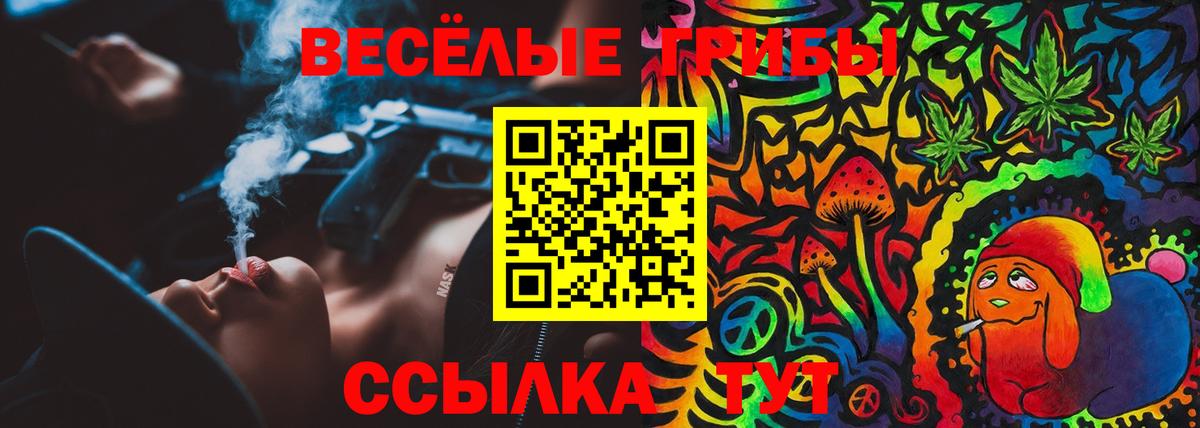 Галлюциногенные грибы прущие грибы  Вход с VPN  где продают   Псилоцибиновые грибы прущие грибы  Знаменск 